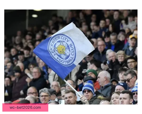 蓝狐近十五轮仅得十一分陷入英冠降级区保级压力骤增